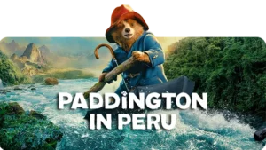 7d66c8da-051e-4711-be3f-645f07a131d0_cutoutl-300x169